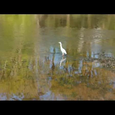 Kates Place 1 아파트 *