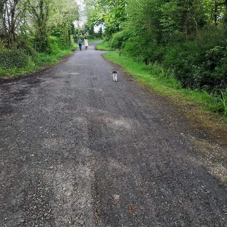 Kates Place 1 아파트 도니골