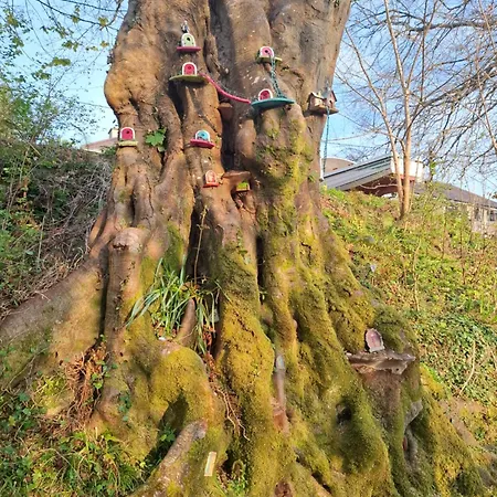 아파트 Kates Place 1 *