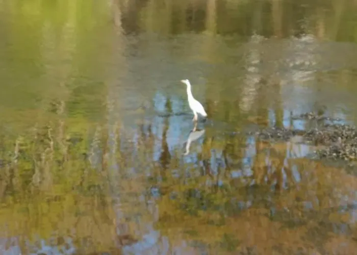 Kates Place 1 Апартаменты *