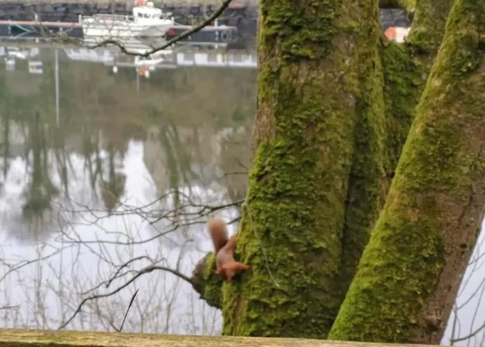 Apartamento Kates Place 1