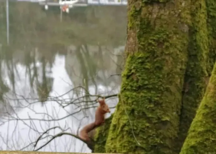 Kates Place 1 Донегол