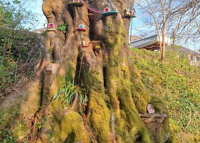 Апартаменты Kates Place 1 *